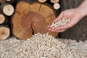 Pellet production business, its prospects and features